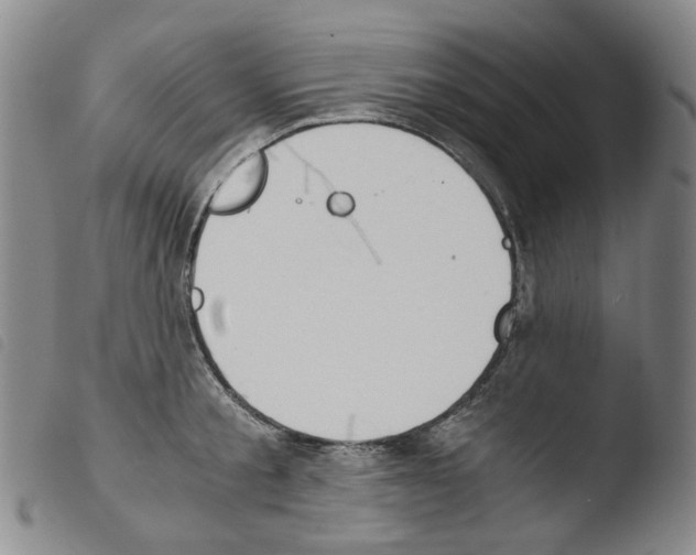 X0000103480805200810241036