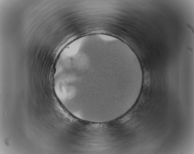 X0000103480806200810241036