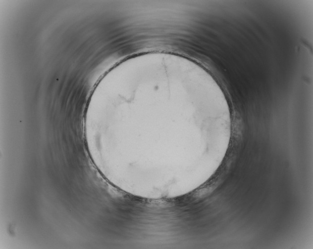 X0000103480807200810241036