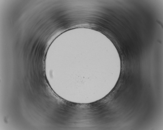 X0000103480808200810241036