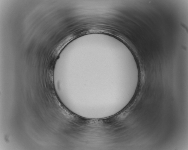 X0000103480809200810241036