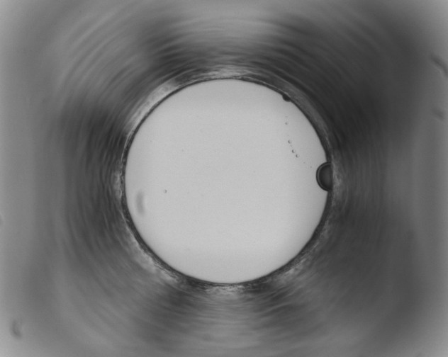 X0000103480810200810241036