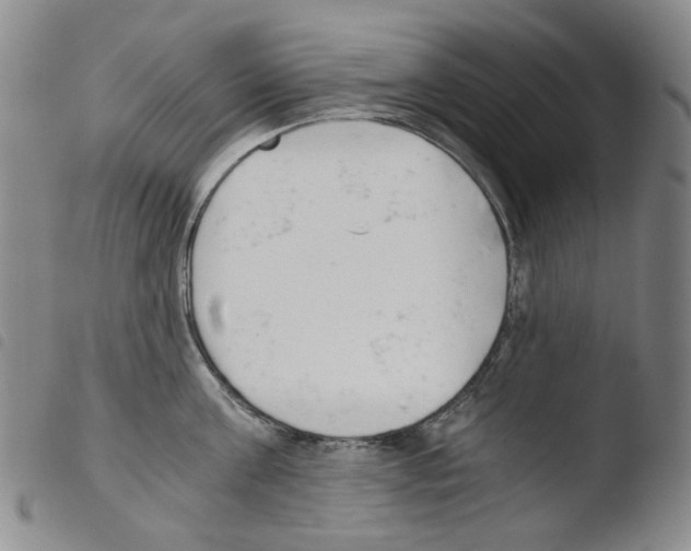 X0000103480811200810241036