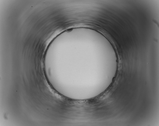 X0000103480813200810241036