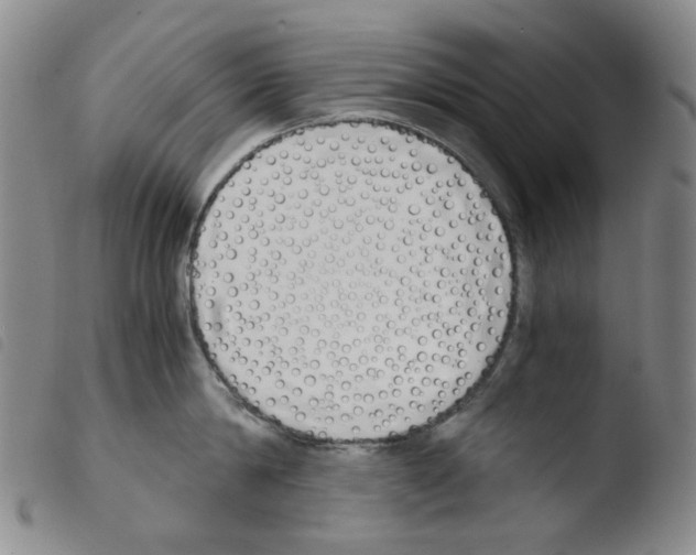 X0000103480814200810241036
