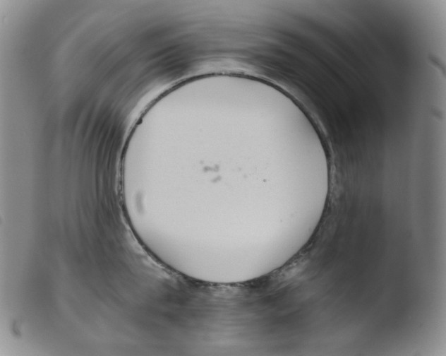 X0000103480815200810241036