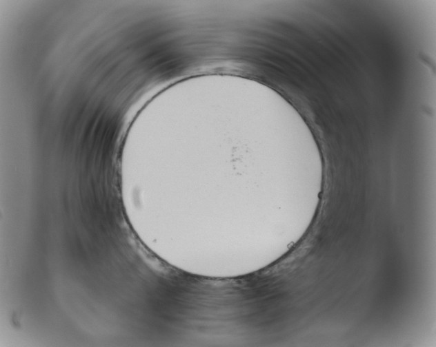 X0000103480816200810241036