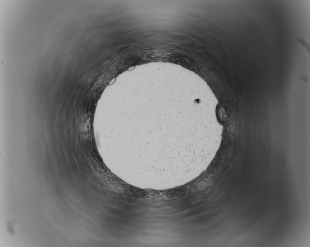 X0000103480818200810241035