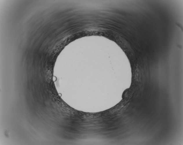 X0000103480821200810241035