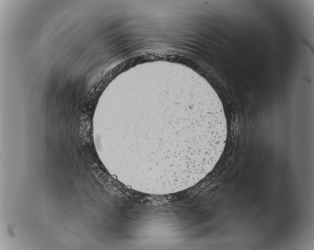 X0000103480822200810241035