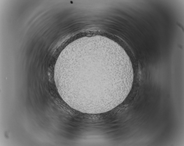 X0000103480823200810241035