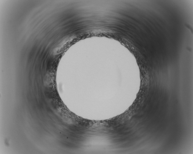 X0000103480824200810241035