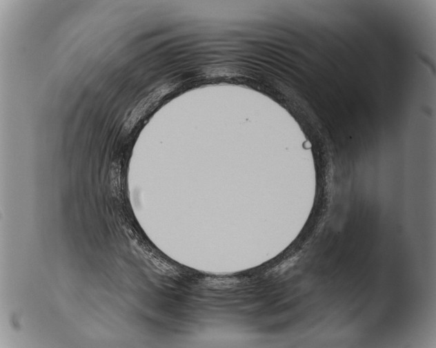 X0000103480825200810241035