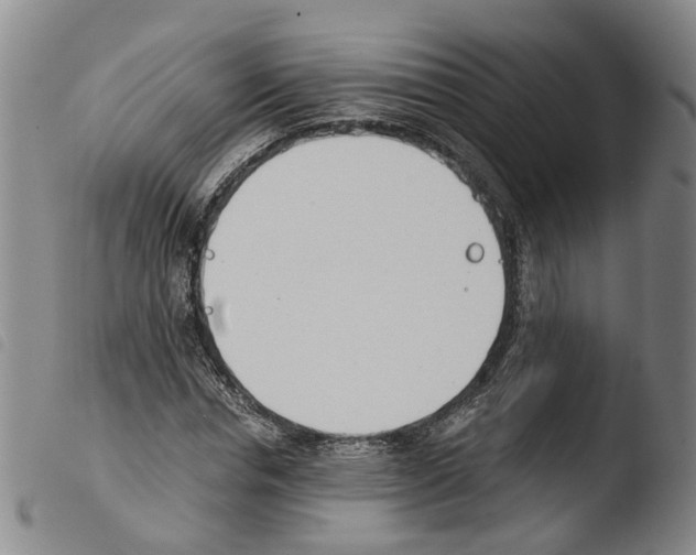 X0000103480826200810241035