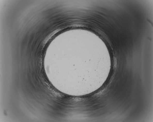 X0000103480829200810241036