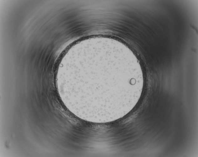 X0000103480830200810241036