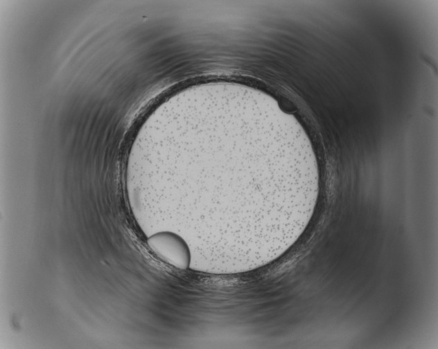 X0000103480831200810241036