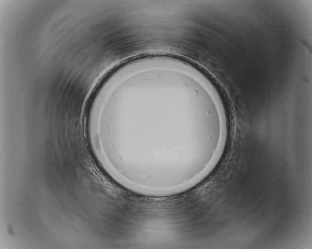 X0000103480832200810241036