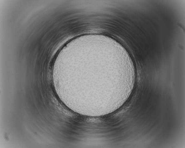 X0000103480835200810241036