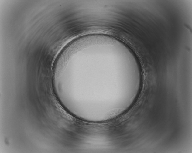X0000103480836200810241036