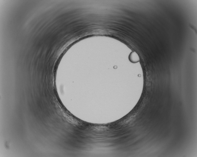 X0000103480837200810241036
