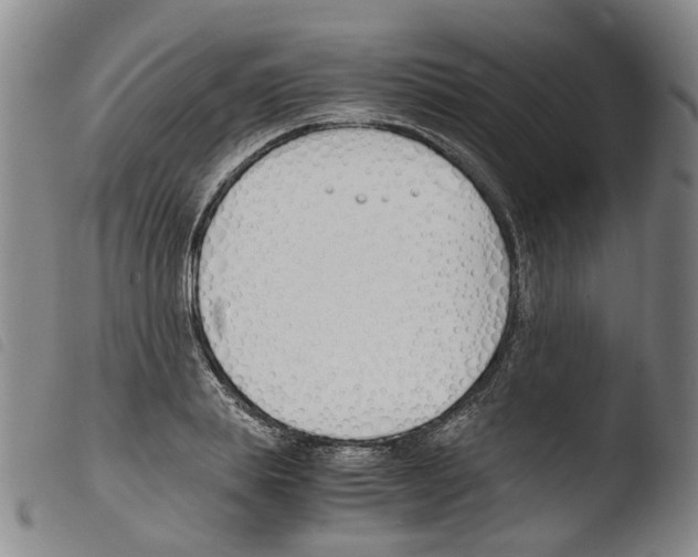 X0000103480839200810241036