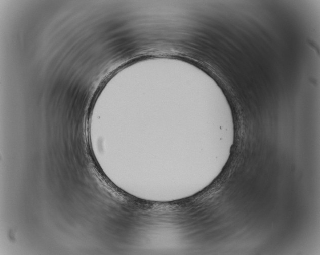 X0000103480840200810241036