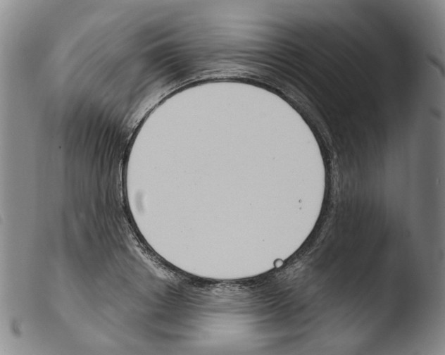 X0000103480842200810241036