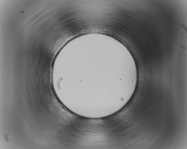 X0000103480844200810241036