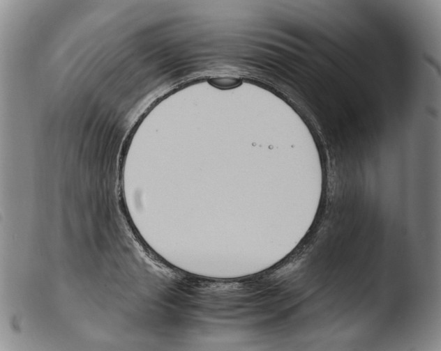 X0000103480845200810241036