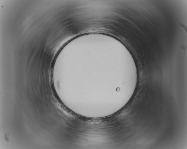 X0000103480846200810241036