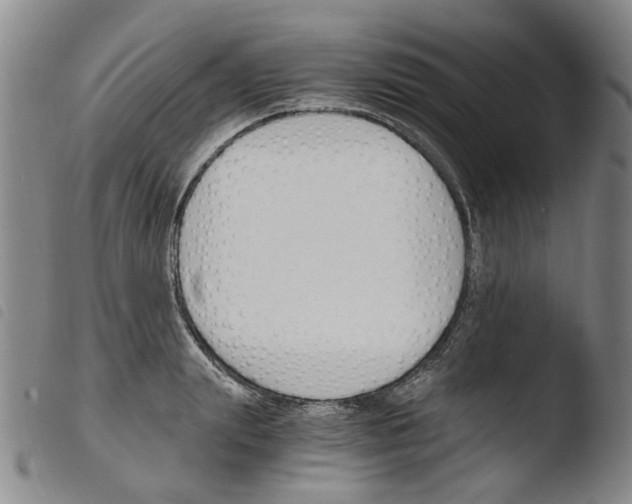 X0000103480847200810241036