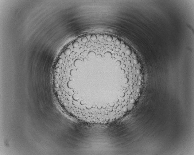 X0000103480848200810241036