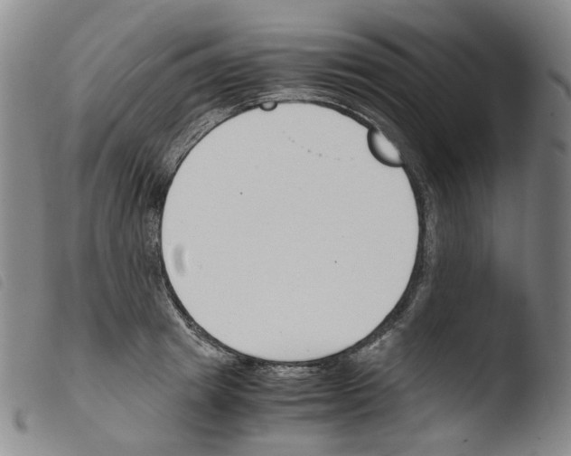 X0000103480849200810241036