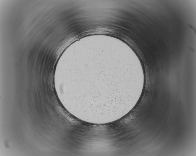 X0000103480850200810241036