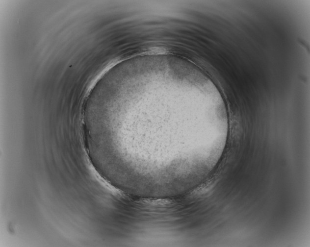 X0000103480851200810241036