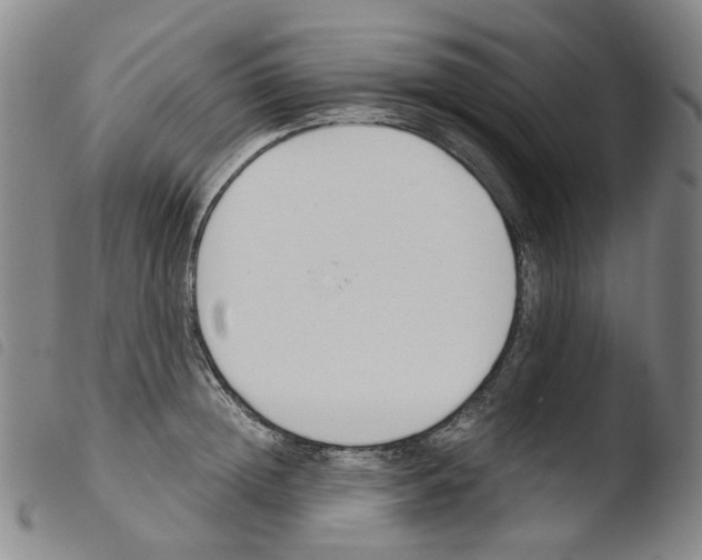 X0000103480852200810241036