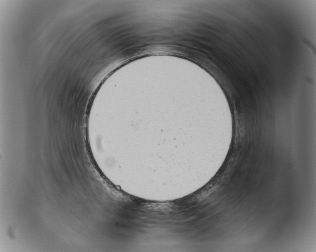 X0000103480853200810241036