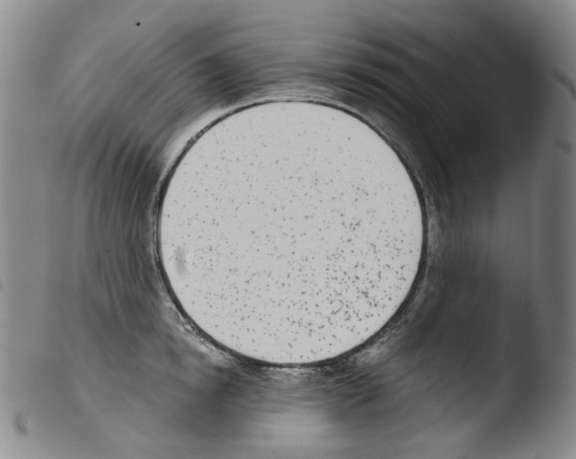 X0000103480854200810241036