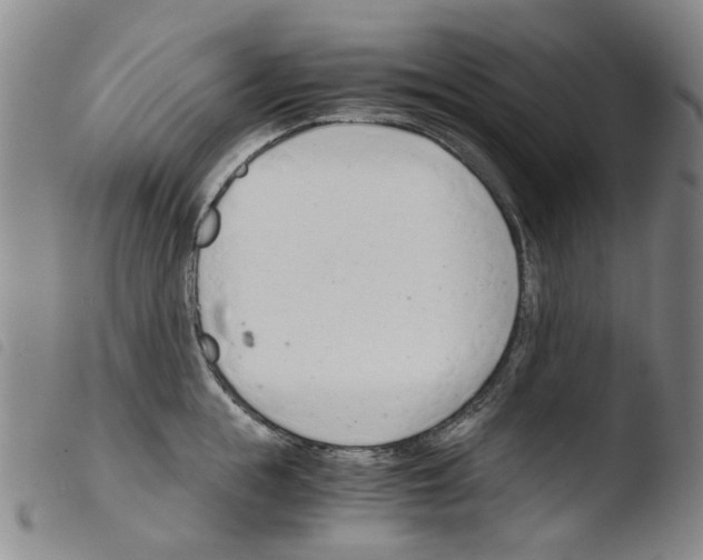 X0000103480855200810241036