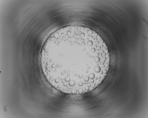 X0000103480856200810241036