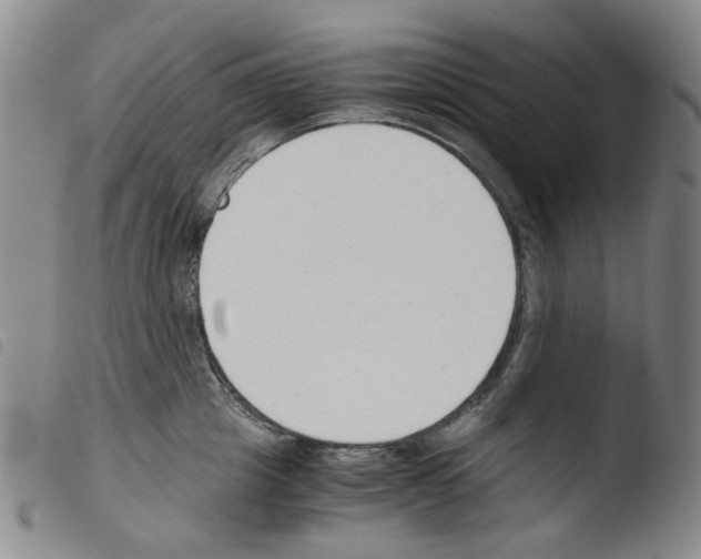 X0000103480857200810241036