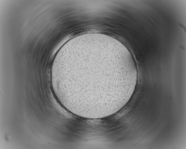 X0000103480859200810241036