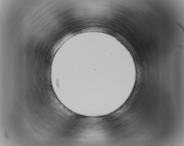 X0000103480860200810241036