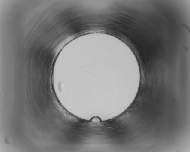 X0000103480861200810241036