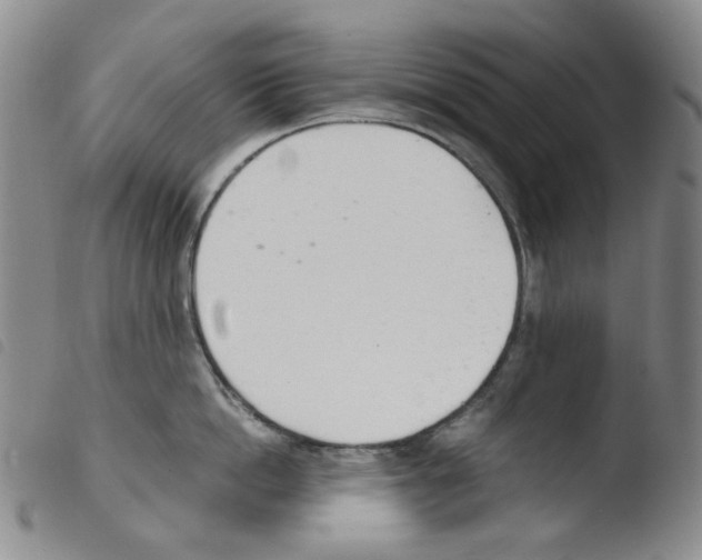 X0000103480862200810241036