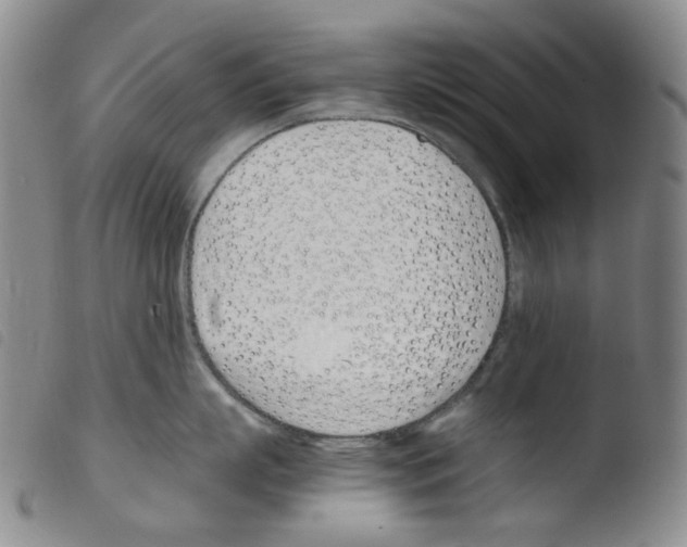 X0000103480863200810241036