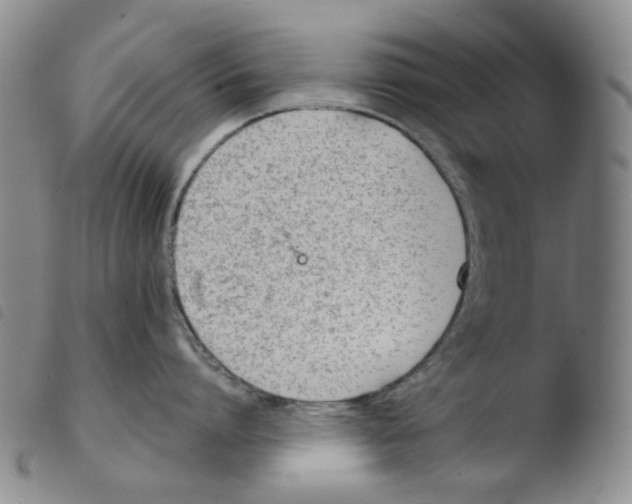 X0000103480864200810241036