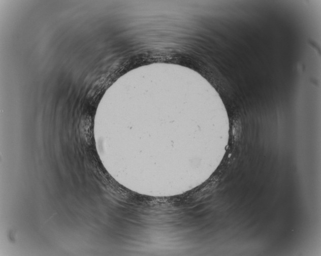 X0000103480867200810241035