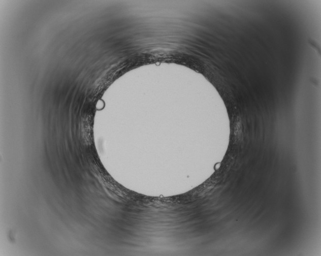 X0000103480868200810241035